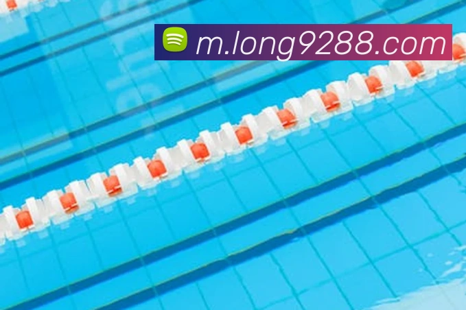 龙8-long8(国际)官方网站服务体系
